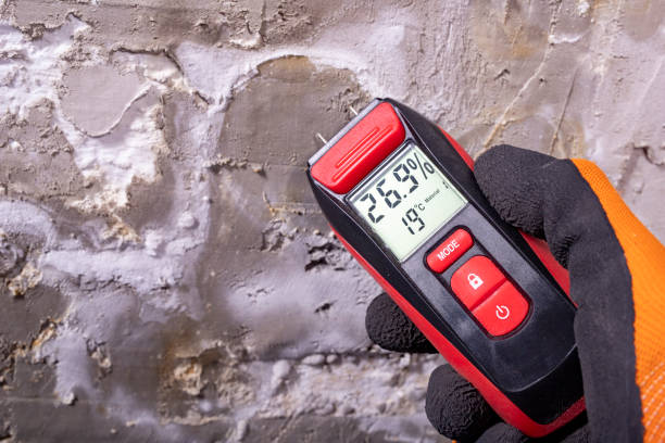 Best Bathroom Mold Remediation in Southwest Sandhill, TX