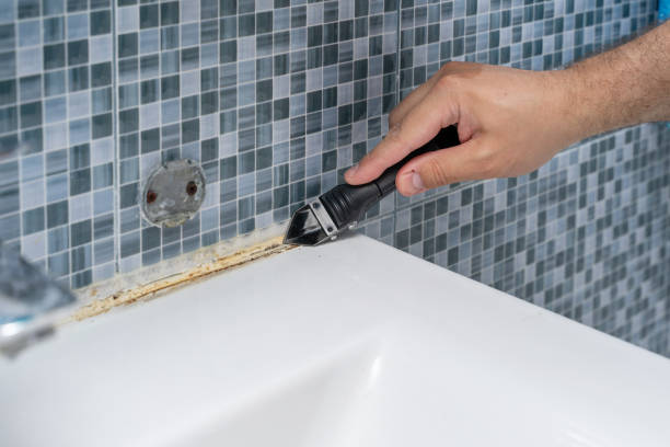 Best Insurance-Related Mold Remediation in Southwest Sandhill, TX