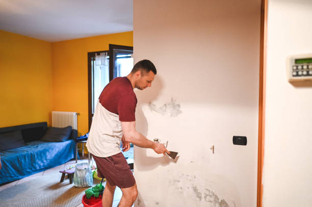 Best Mold Remediation for Specific Building Types in Southwest Sandhill, TX